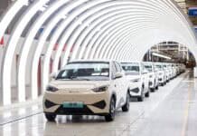 BYD DOLPHIN SURF