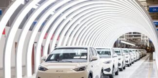 BYD DOLPHIN SURF