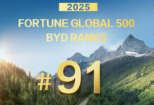 BYD Fortune Global ranking