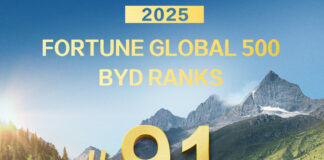 BYD Fortune Global ranking