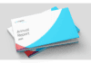 Cegeka Annual report