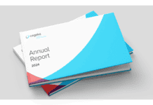 Cegeka Annual report