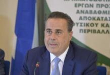 Papastavrou, Environment & Energy minister