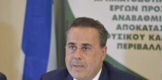 Papastavrou, Environment & Energy minister