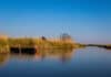 wooden boat on evros river delta, source: Shutterstock