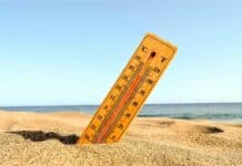 heatwave