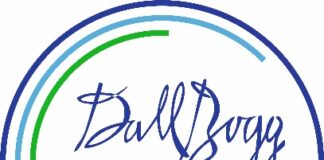 Dallbogg logo