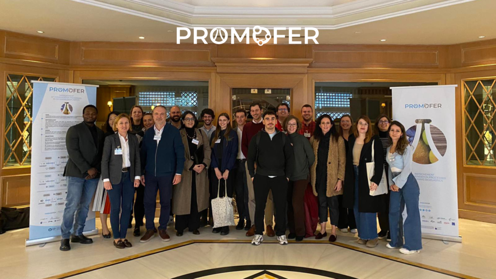 Ερευνητικό πρόγραμμα Promofer