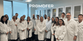 Ερευνητικό πρόγραμμα Promofer