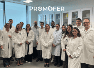 Ερευνητικό πρόγραμμα Promofer