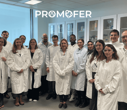 Ερευνητικό πρόγραμμα Promofer