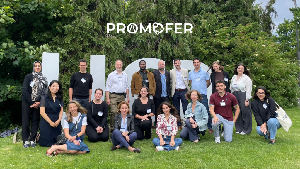 Ερευνητικό πρόγραμμα Promofer