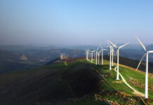 Twinvest program cover photo