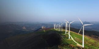 Twinvest program cover photo