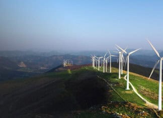 Twinvest program cover photo