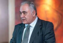 Χατζηθεοδοσίου, ΕΕΑ