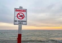 "No swimming" beach sign, source: Shutterstock