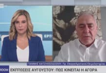 Χατζηθεοδοσίου, ΕΕΑ, στην ΕΡΤ