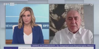 Χατζηθεοδοσίου, ΕΕΑ, στην ΕΡΤ