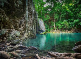 Χρόνια πολλά στο νερό, το πολυτιμότερο αγαθό της ζωής