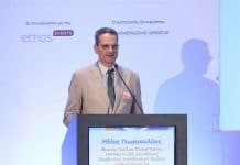 Ηλ. Γεωργουλέας: ΤΕΑ με σταθερές ταμειακές ροές, ESG συμμόρφωση και χαμηλή μεταβλητότητα σε εποπτευόμενο θεσμικό πλαίσιο