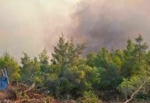 Στο πλευρό των πυρόπληκτων το Ε.Ε.Α.: Επίσκεψη σε πληγείσες περιοχές