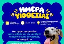 Μια ημέρα αφιερωμένη στην υιοθεσία ζώων συντροφιάς από τη Mars, την ΑΒ Βασιλόπουλος και τη Dogs’ Voice